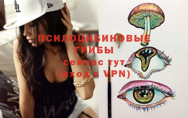 синтетический гашиш Белокуриха